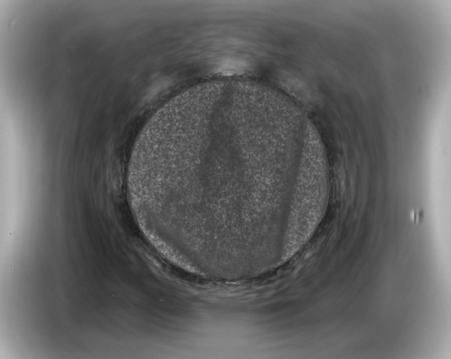 X0000085761158200704091329