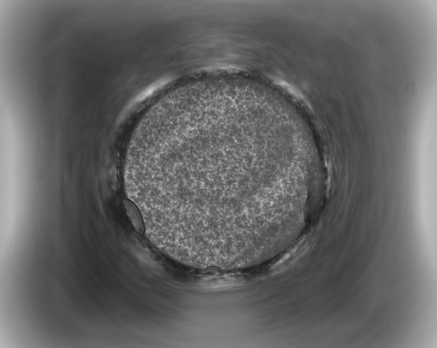 X0000085761159200704091329
