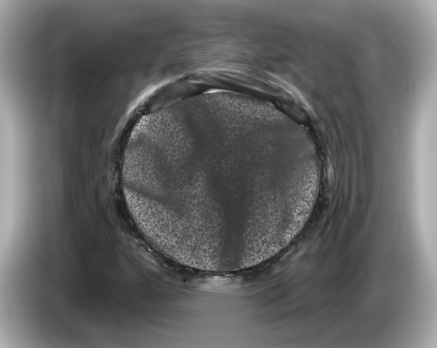 X0000085761160200704091329