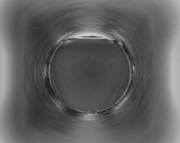 X0000085761161200704091329