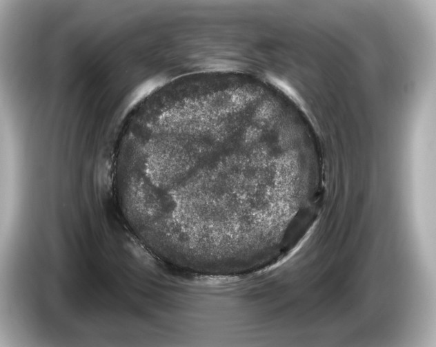 X0000085761163200704091329