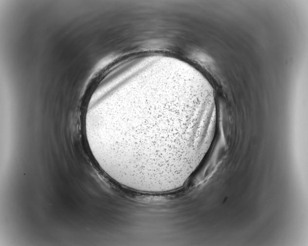 X0000085761164200704091329