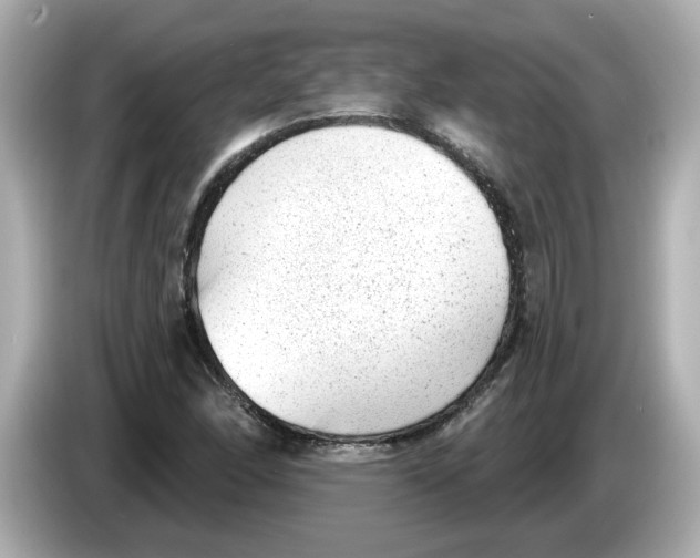 X0000085761166200704091329