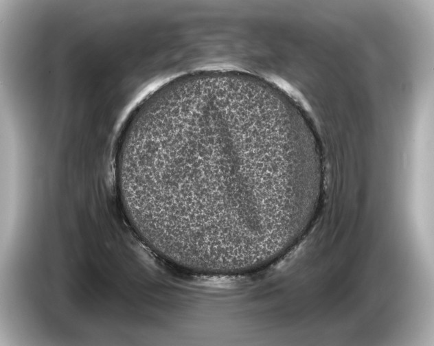 X0000085761167200704091329