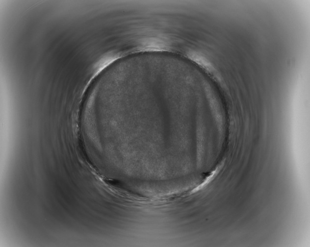 X0000085761170200704091329