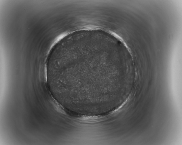 X0000085761171200704091329