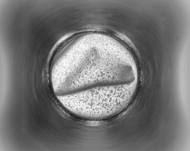 X0000085761172200704091329