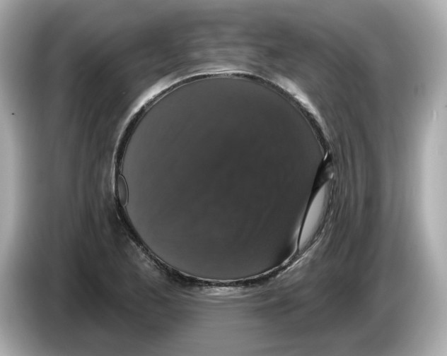 X0000085761173200704091329