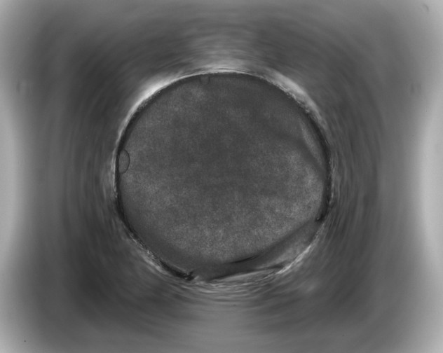 X0000085761174200704091329