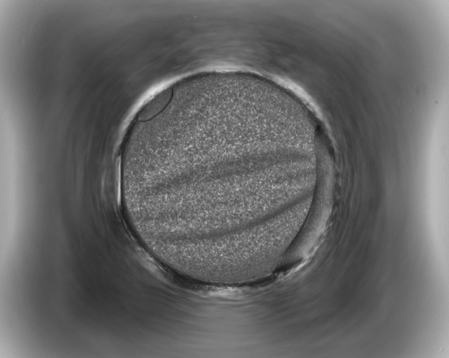 X0000085761175200704091329