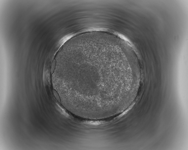 X0000085761177200704091329