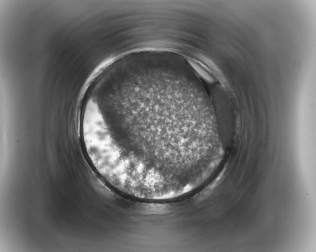 X0000085761180200704091329