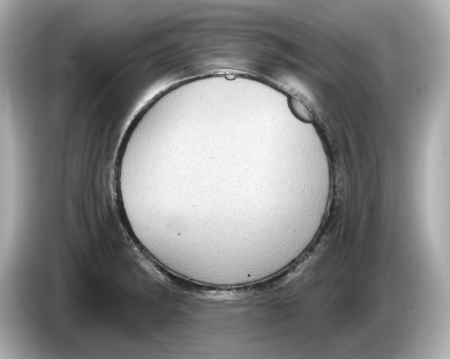 X0000085761182200704091329