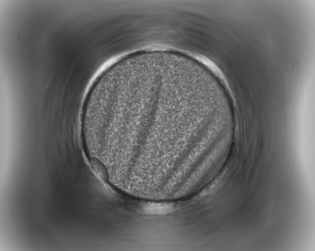 X0000085761183200704091329