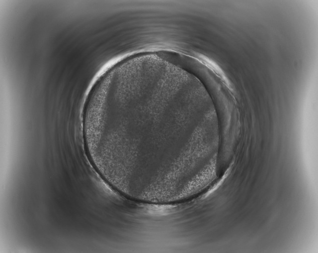 X0000085761184200704091329