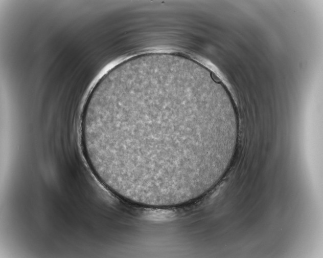 X0000085761187200704091329