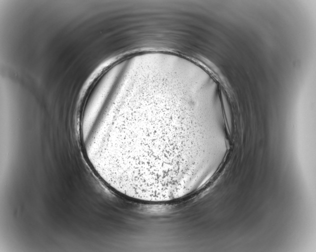 X0000085761188200704091329