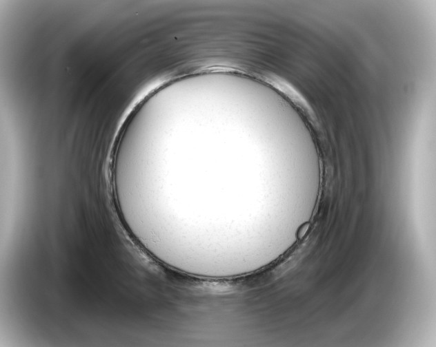 X0000085761190200704091329