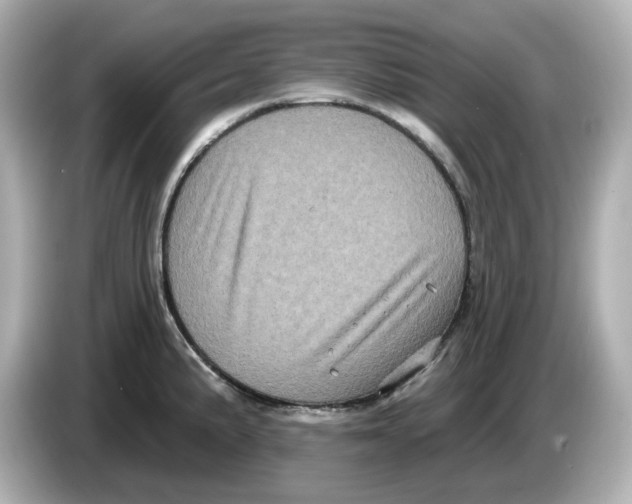 X0000085761191200704091328