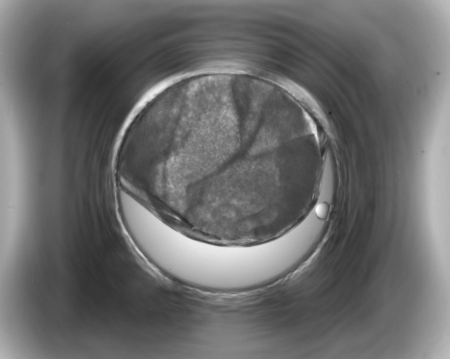 X0000085761192200704091328