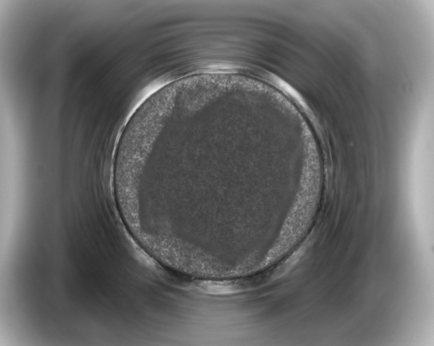 X0000085761194200704091328