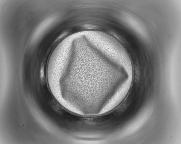 X0000085761198200704091328