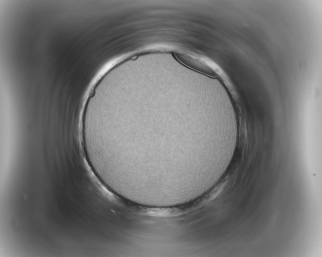 X0000085761199200704091328