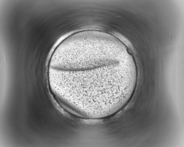 X0000085761200200704091328