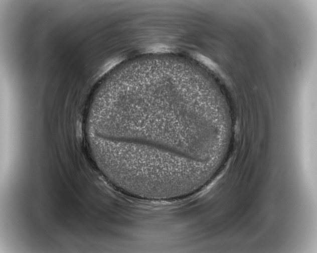 X0000085761209200704091328