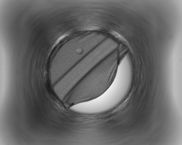 X0000085761210200704091328