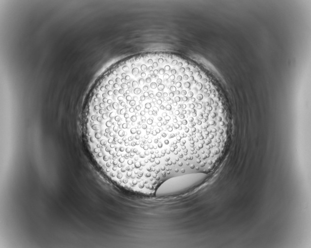 X0000085761212200704091328