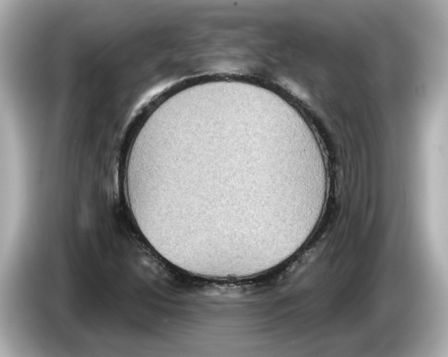 X0000085761214200704091328