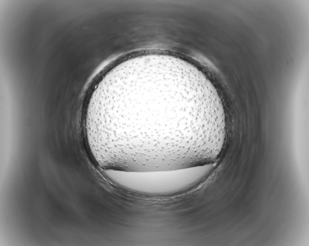 X0000085761216200704091328