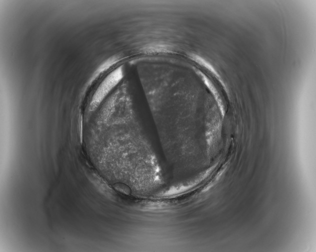 X0000085761219200704091328