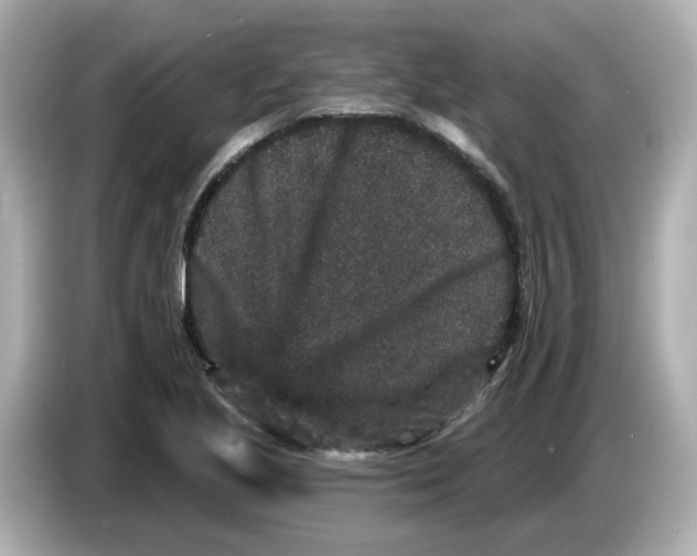 X0000085761221200704091328