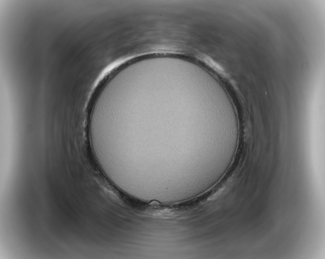 X0000085761222200704091328