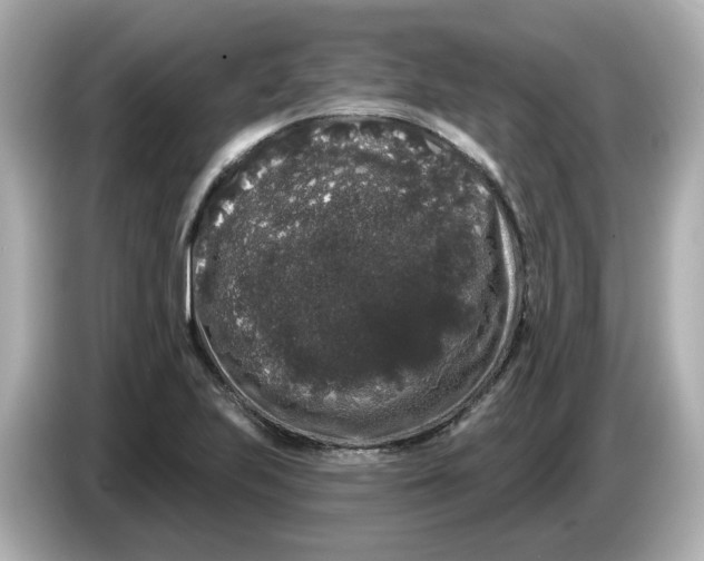 X0000085761223200704091328