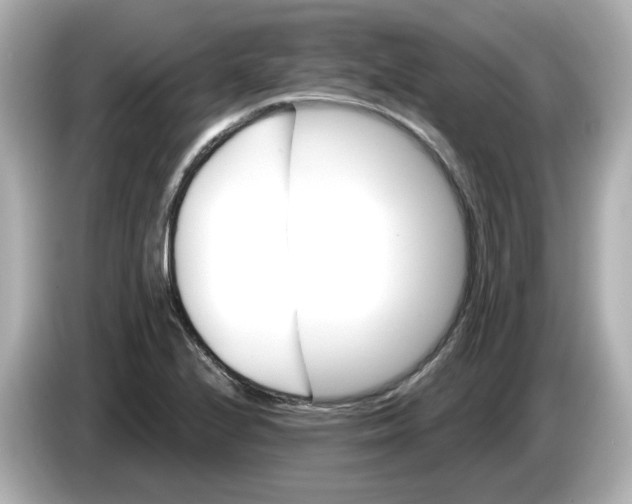 X0000085761224200704091328