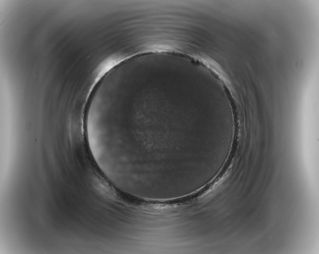X0000085761226200704091328