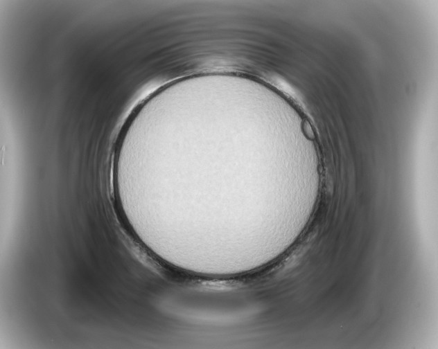 X0000085761227200704091328