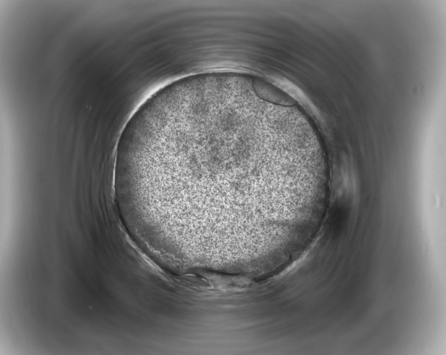 X0000085761228200704091328