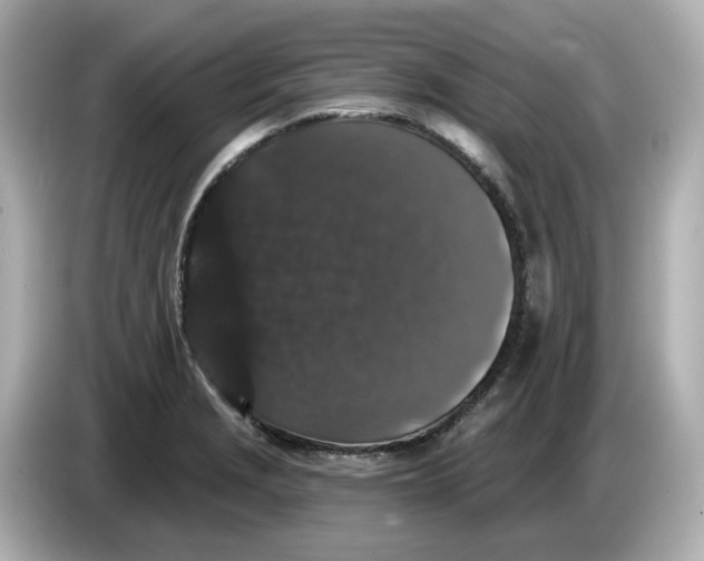 X0000085761229200704091328
