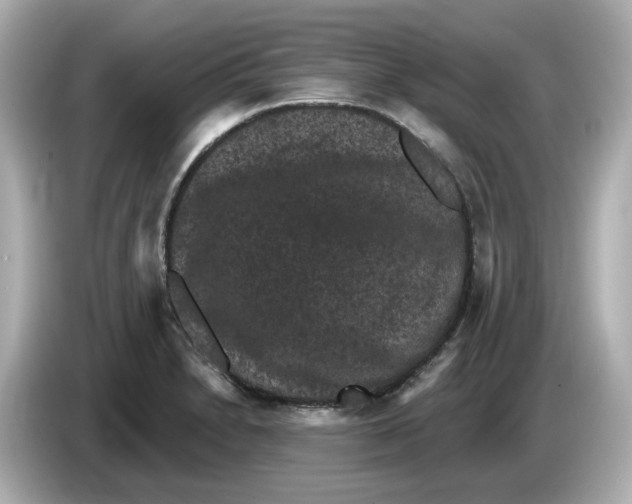 X0000085761230200704091328