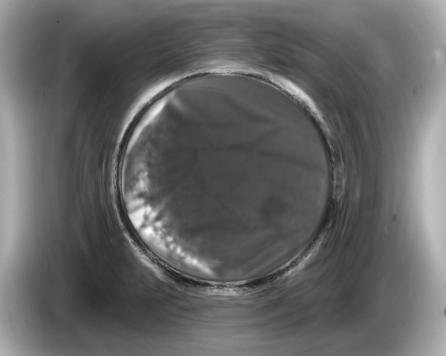 X0000085761231200704091328