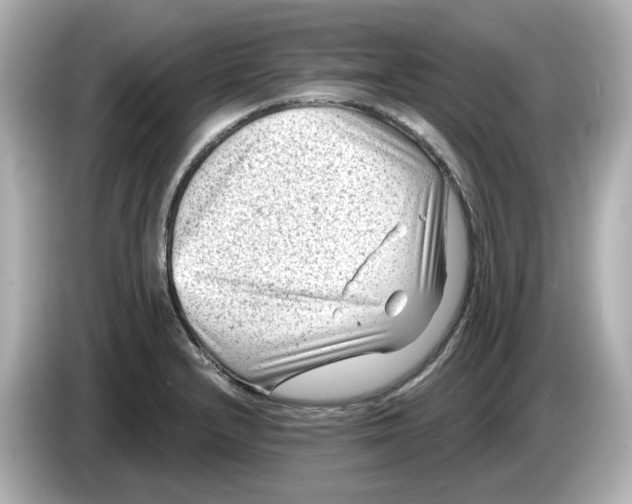 X0000085761232200704091328