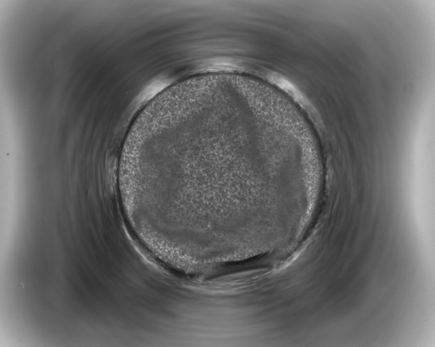 X0000085761233200704091328