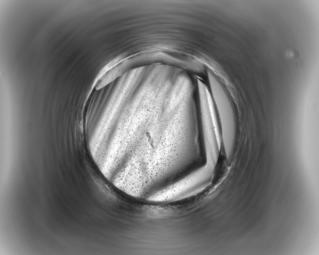X0000085761234200704091328