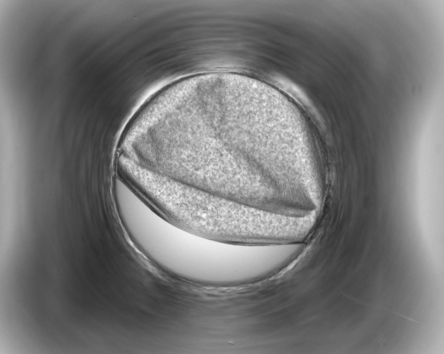 X0000085761236200704091328