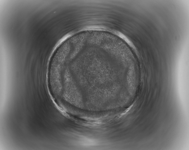 X0000085761237200704091328