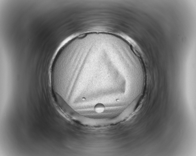X0000085761238200704091328